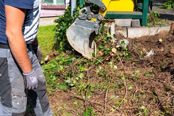 Hedge Removal Service in Redwood City