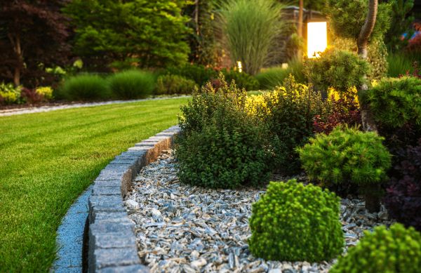 Cost of Bush Relocation in Redwood City