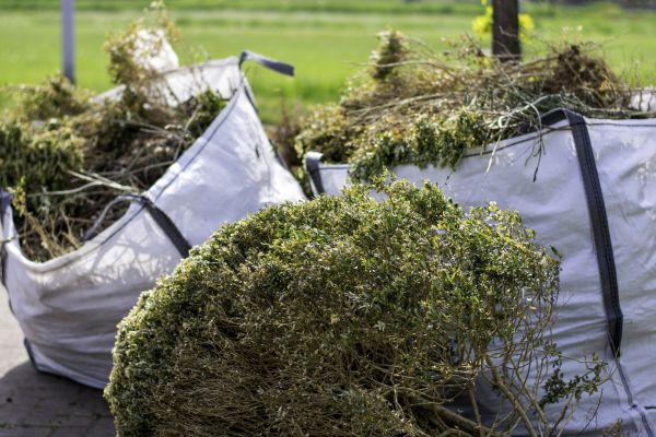 Cost of Shrubs Removal in Redwood City
