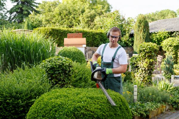 Shrubs Trimming in Redwood City