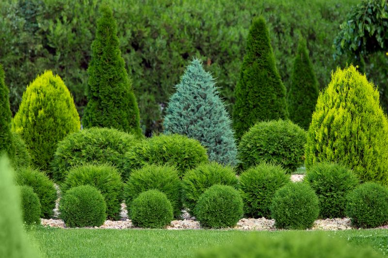 Shaping Bushes for Design