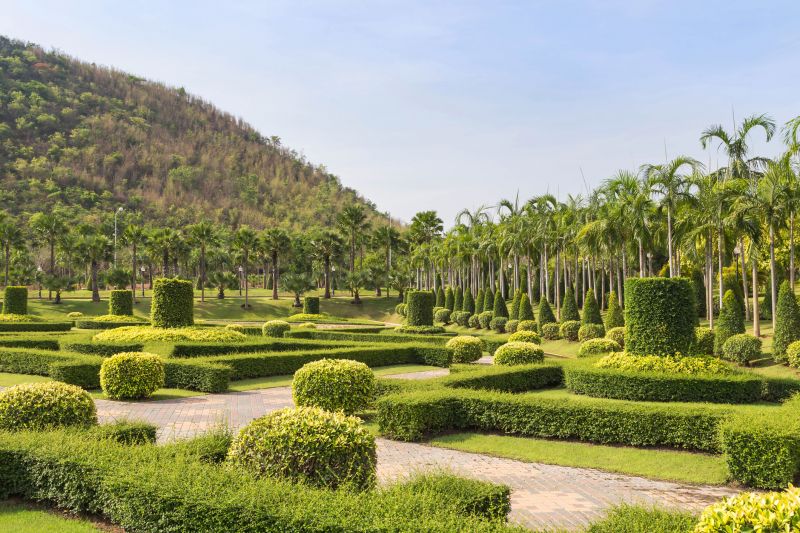 Layered Shrubs in Garden